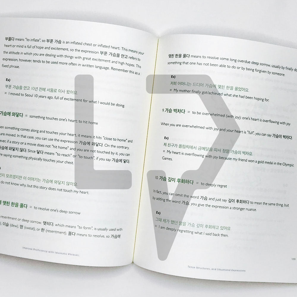 Talk To Me In Korean (TTMIK) Grammar Textbook Level 8 - Life Pattern Korea