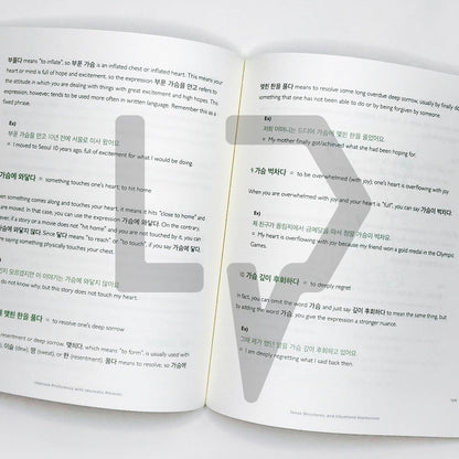 Talk To Me In Korean (TTMIK) Grammar Textbook Level 8 - Life Pattern Korea