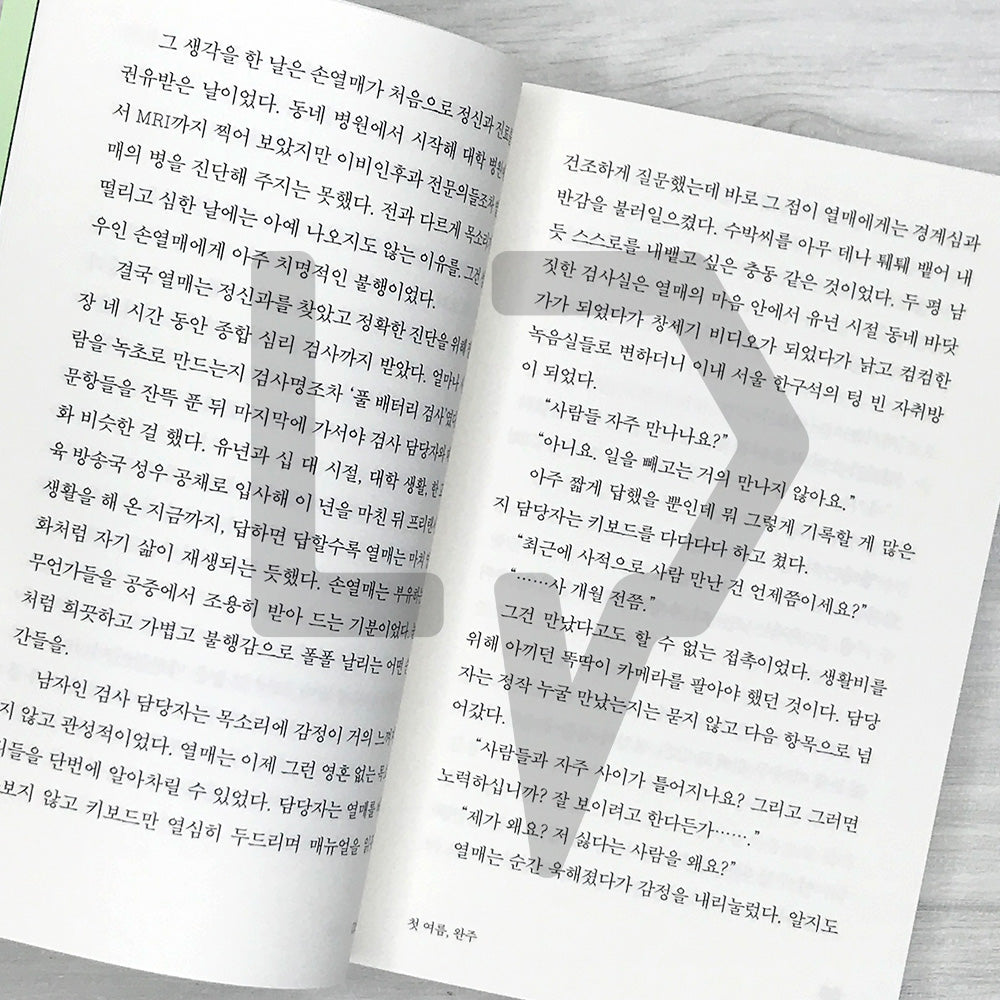My First Summer, Wanju: Reading Novel Edition 첫 여름, 완주(읽는 소설)