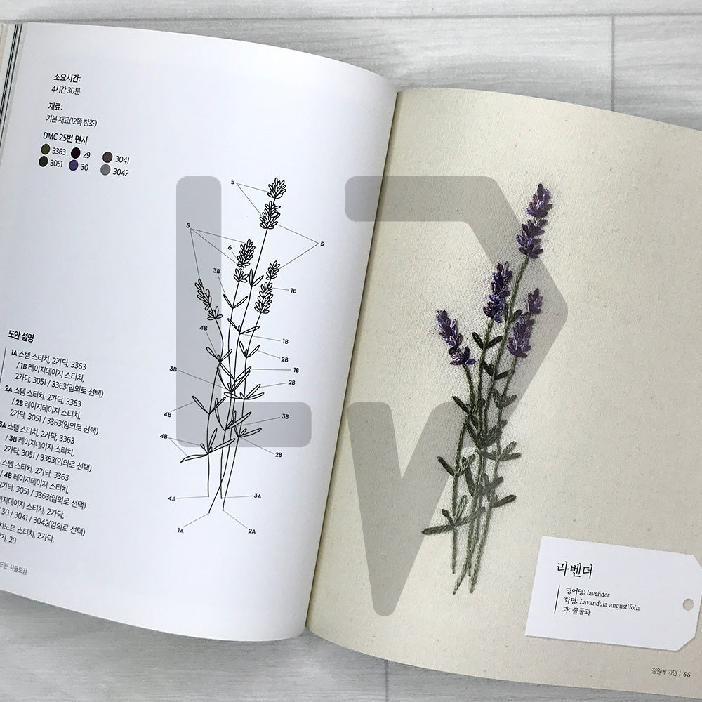 Embroidering Plants and Flowers for Beginners 프랑스 자수로 만드는 식물도감: 33 Plants to Stitch
