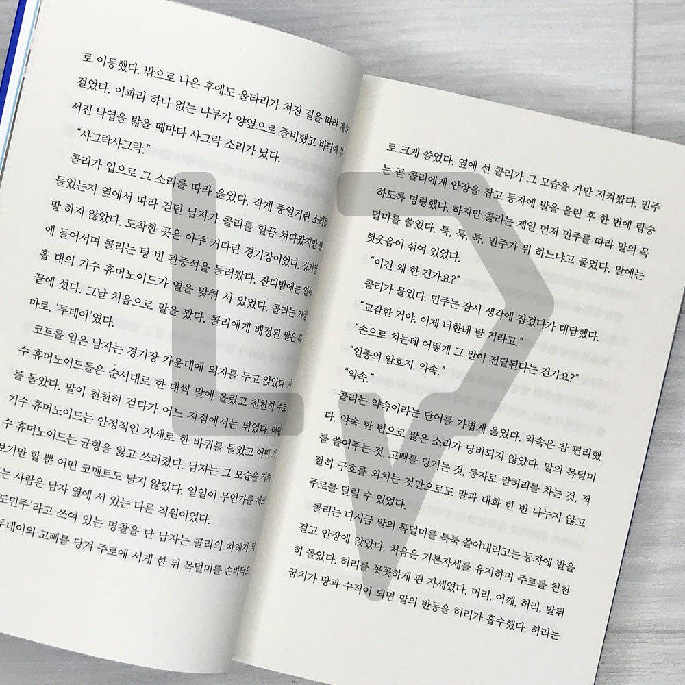 A Thousand Blues by Cheon Seon-ran 천 개의 파랑