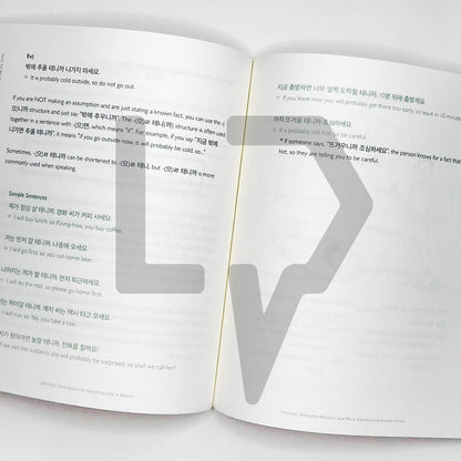 Talk To Me In Korean (TTMIK) Grammar Textbook Level 9 - Life Pattern Korea