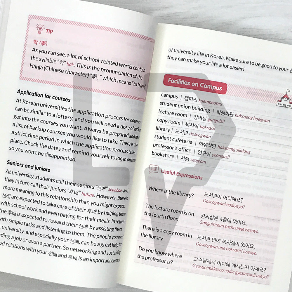 Survival Korean Crash Course: Your Friendly Guide to Student Life in Korea