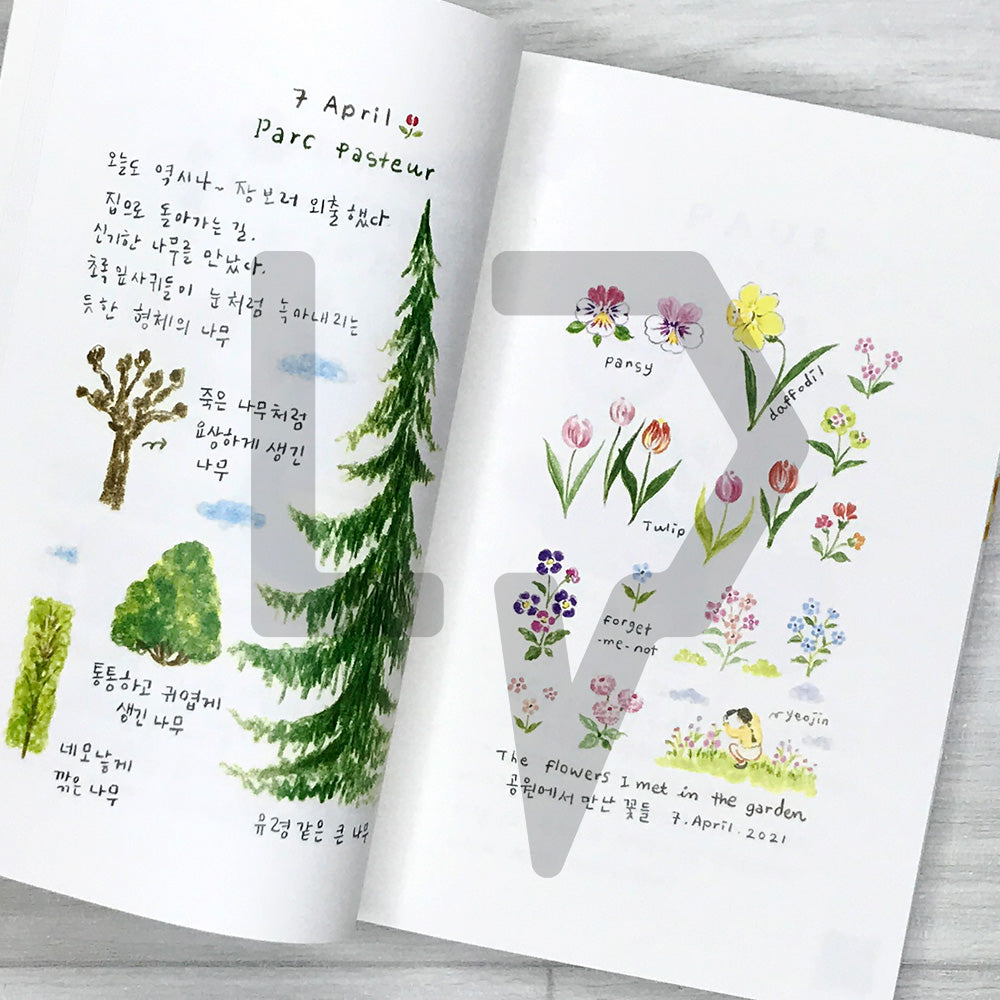 Orleans: Yeojin's 78-Day Illustrated Travel Diary in France 오를레앙