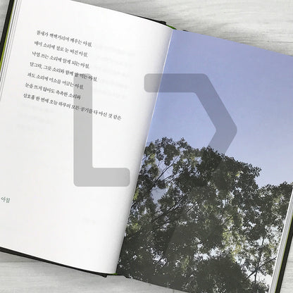 Not Everything Is As It Seems by Kang Min-hyuk (2026 Revised Edition) 다 그런 건 아니야 (개정증보판)