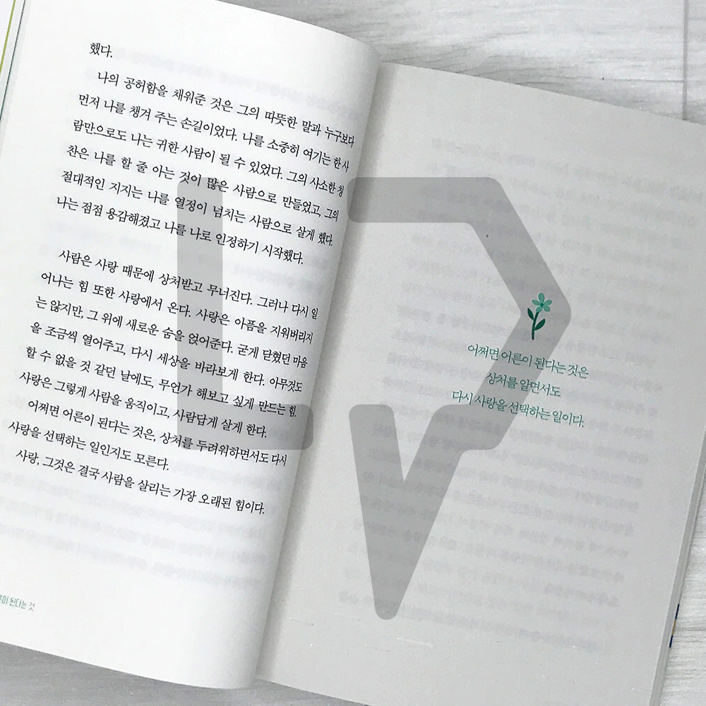 Becoming a Kinder Adult: Spring Comfort After a Long Winter 다정한 어른이 된다는 것: 긴 겨울을 지나온 당신에게 건네는 봄의 위로