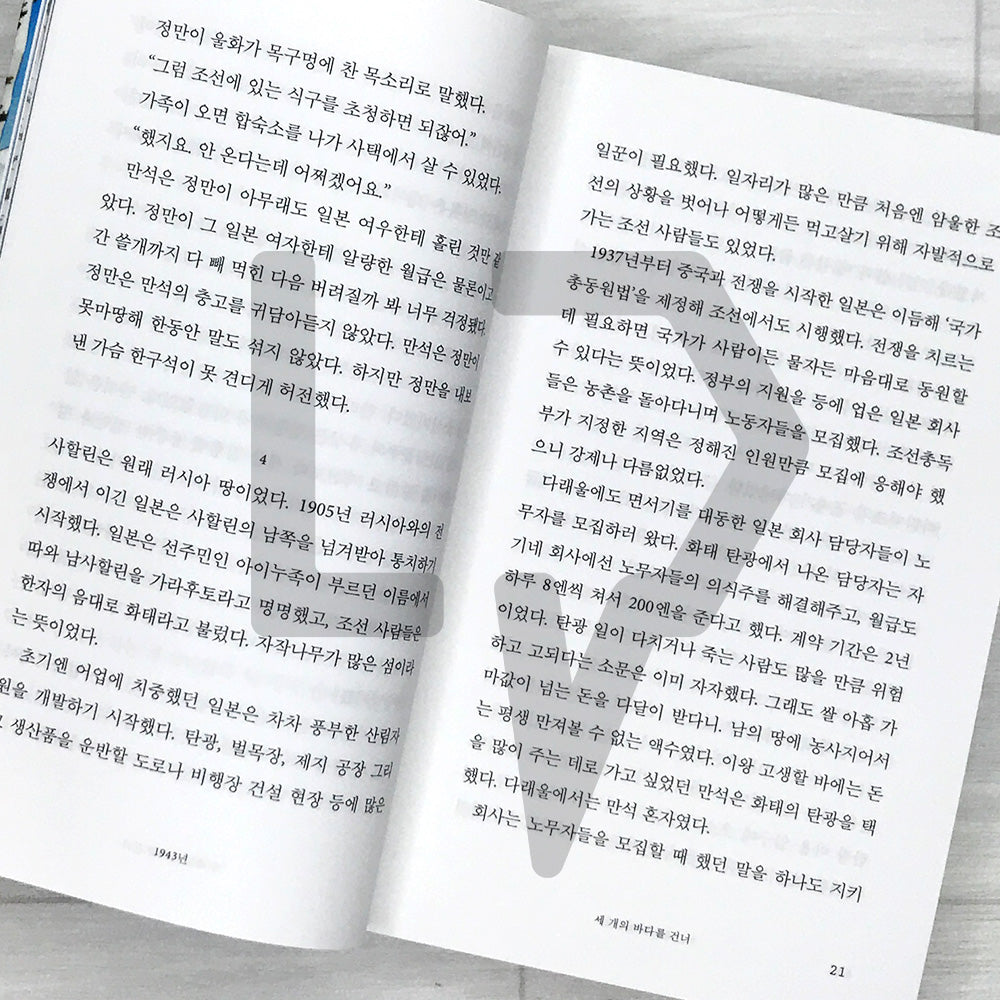 Cracks of Sorrow 슬픔의 틈새