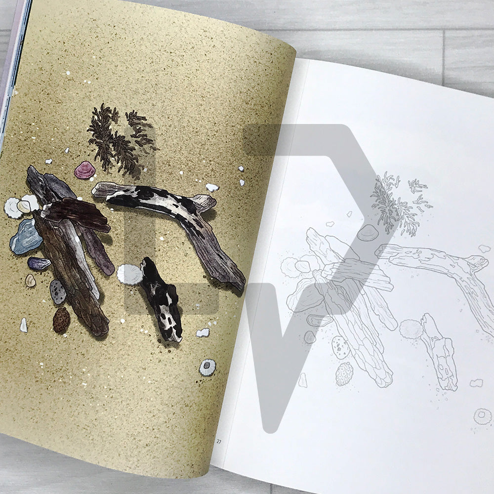 A Shining Afternoon: A Landscape Coloring Book of Flowers, Light, and Everyday Scenes 어느 빛나는 오후: 풍경 컬러링북