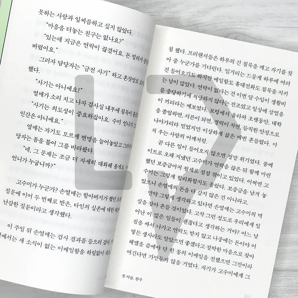 My First Summer, Wanju: Reading Novel Edition 첫 여름, 완주(읽는 소설)