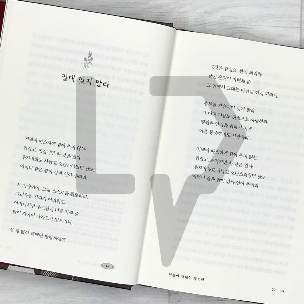 The Joy of Enduring Life 삶을 견디는 기쁨 - Life Pattern Korea