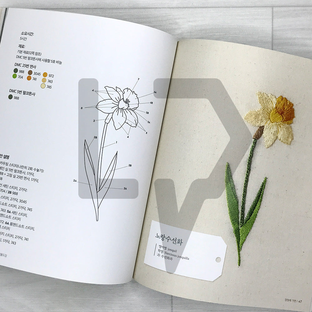 Embroidering Plants and Flowers for Beginners 프랑스 자수로 만드는 식물도감: 33 Plants to Stitch