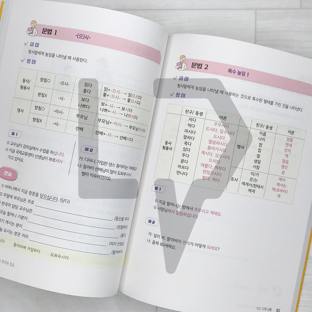 Practical Korean Language for Foreign Students: Beginning 유학생을 위한 대학 한국어 초급