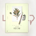 One Day, One Painting Volume 2 두 번째 1일 1그림 - Life Pattern Korea