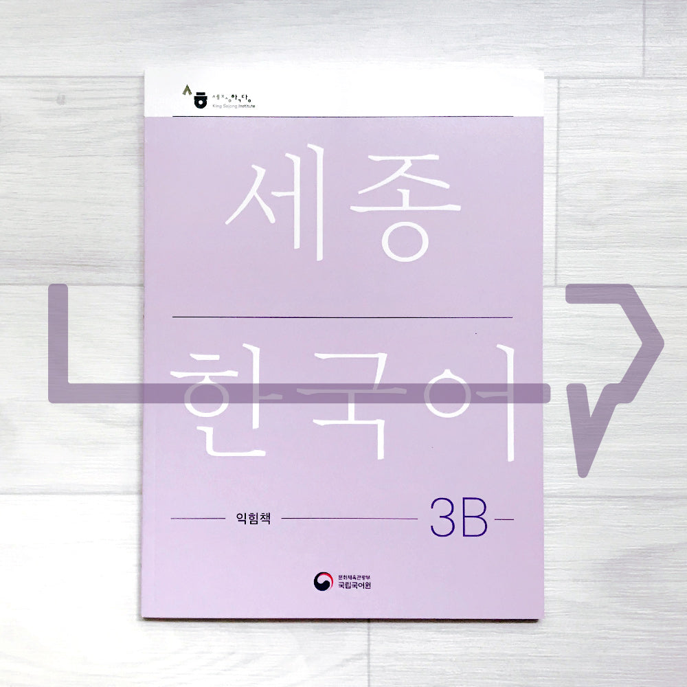 Sejong Korean Workbook 세종한국어 익힘책 3B (2022 Edition) – Life Pattern Korea