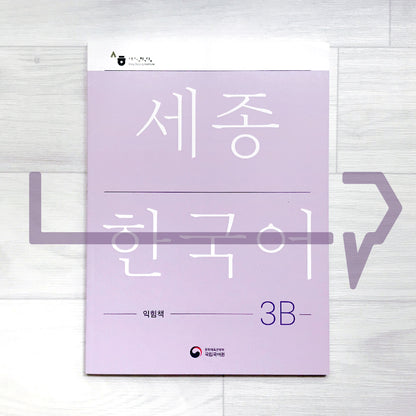 Sejong Korean Workbook 세종한국어 익힘책 3B (2022 Edition)