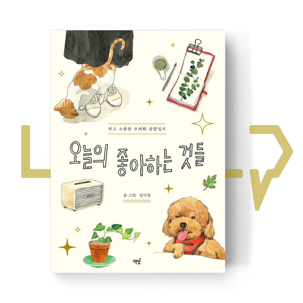 The Things I like today 오늘의 좋아하는 것들 - Life Pattern Korea