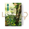In Summer 여름 안에서 - Life Pattern Korea