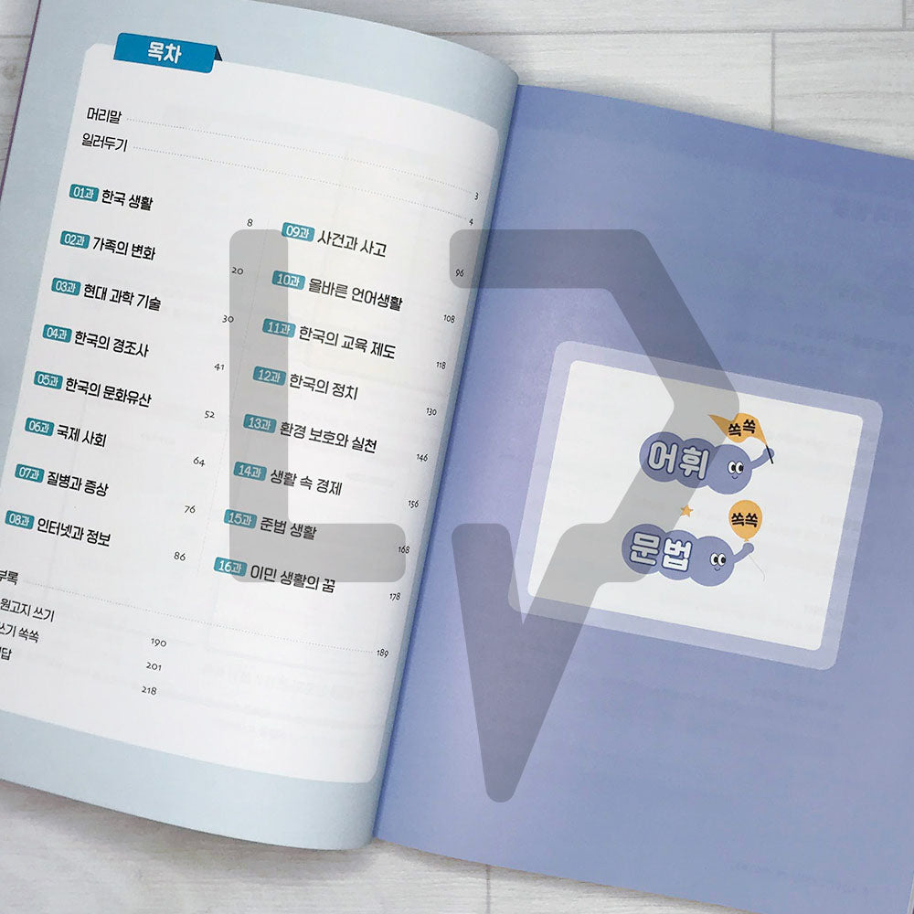 KIIP Korean Language and Culture Intermediate Level 2 Vocabulary & Grammar 한국어 한국문화 어휘 & 문법집 중급 2