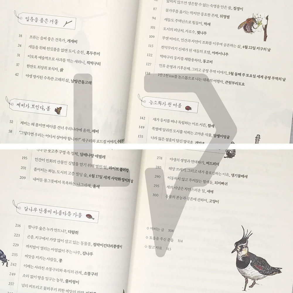 Four Seasons Memory Book 사계절 기억책 - Life Pattern Korea