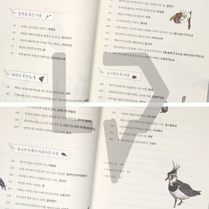 Four Seasons Memory Book 사계절 기억책