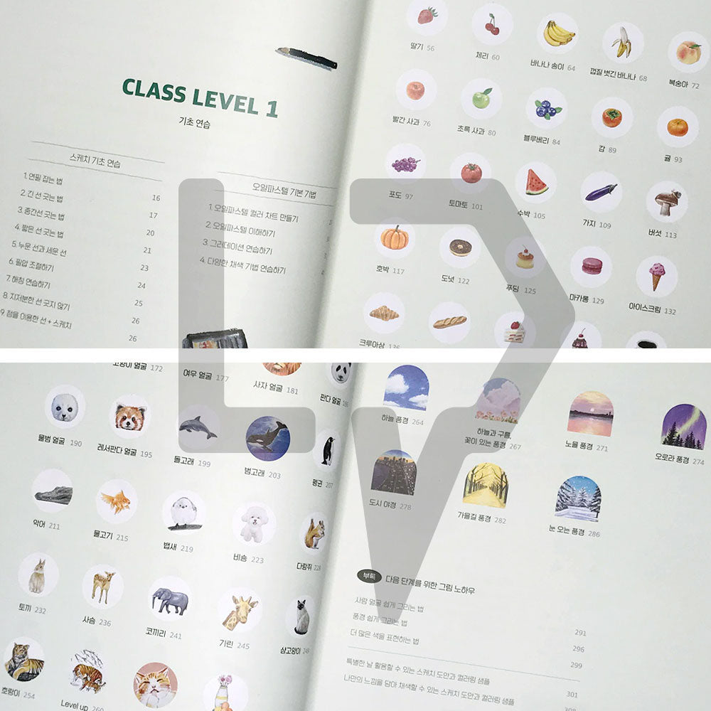 Drawing Day Class for Beginner (I Start Drawing Today) by Maca & Caron 오늘부터 그림 그리기를 시작합니다 - Life Pattern Korea