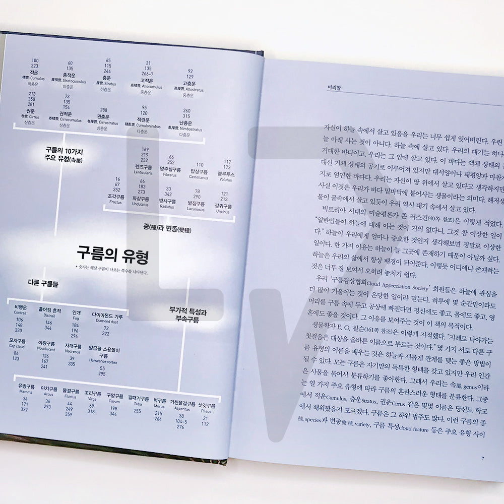 A Cloud a Day 날마다 구름 한점 - Life Pattern Korea