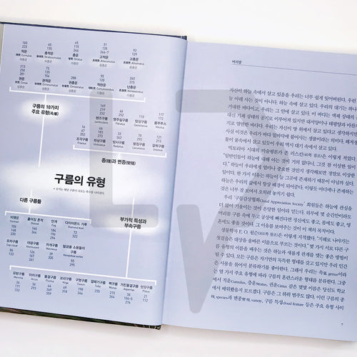 A Cloud a Day 날마다 구름 한점 - Life Pattern Korea