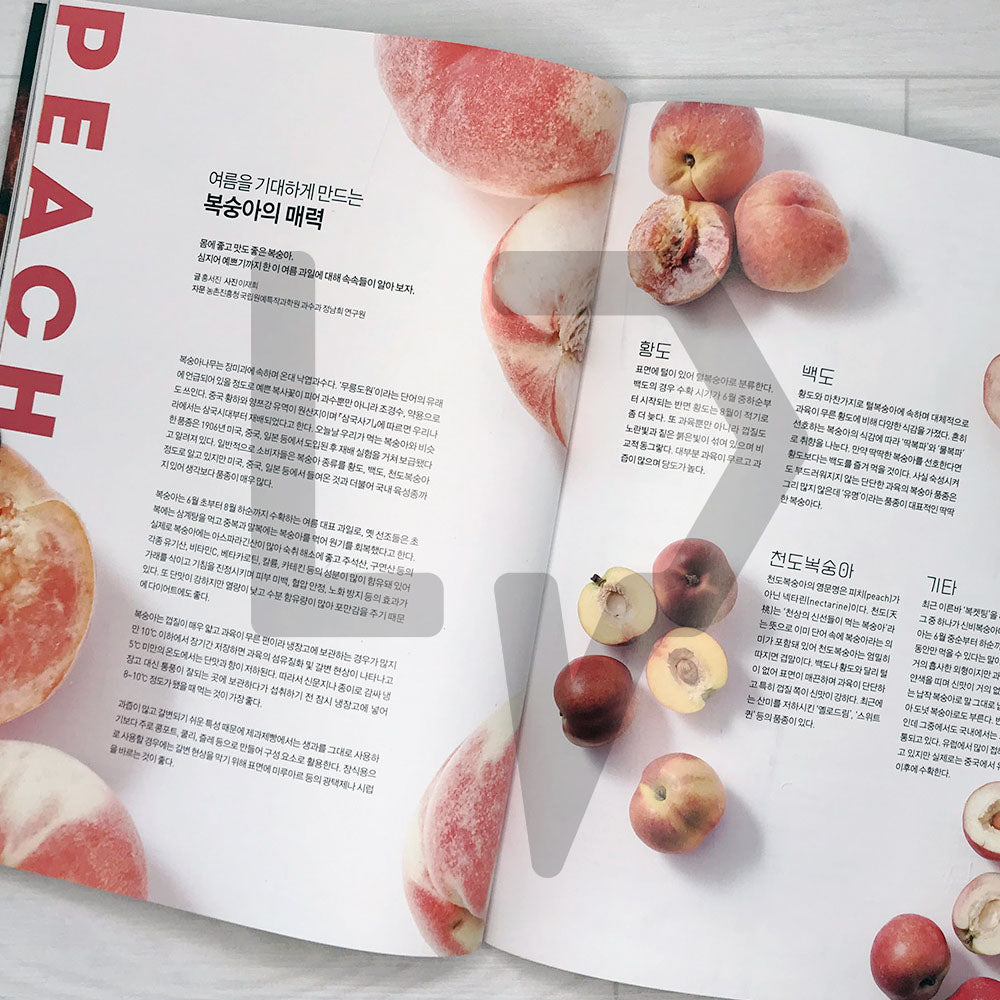 Patissier Magazine 파티시에 2023-7 (421) - Life Pattern Korea