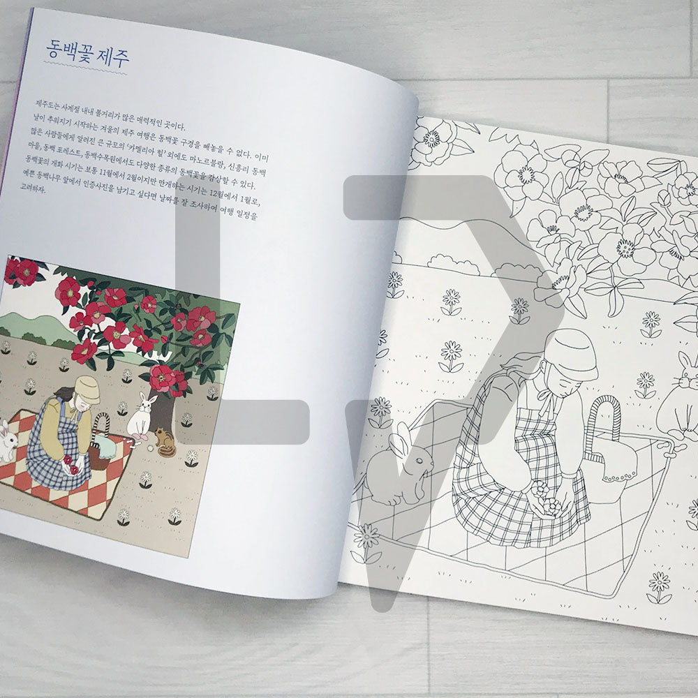 Korea Coloring Travel 우리나라 컬러링 여행