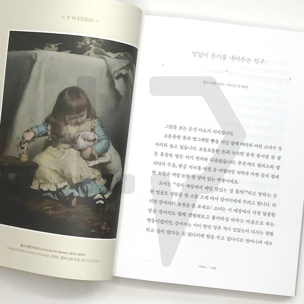 My Own Private Art Gallery 나만의 사적인 미술관 - Life Pattern Korea