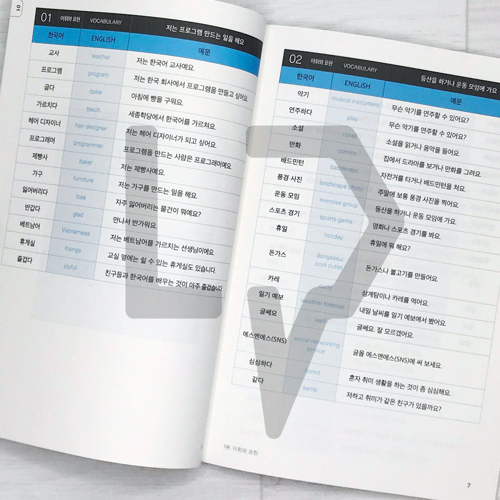 Sejong Korean Vocabulary & Grammar Book 세종한국어 어휘 표현과 문법 2A (2022 Editi ...