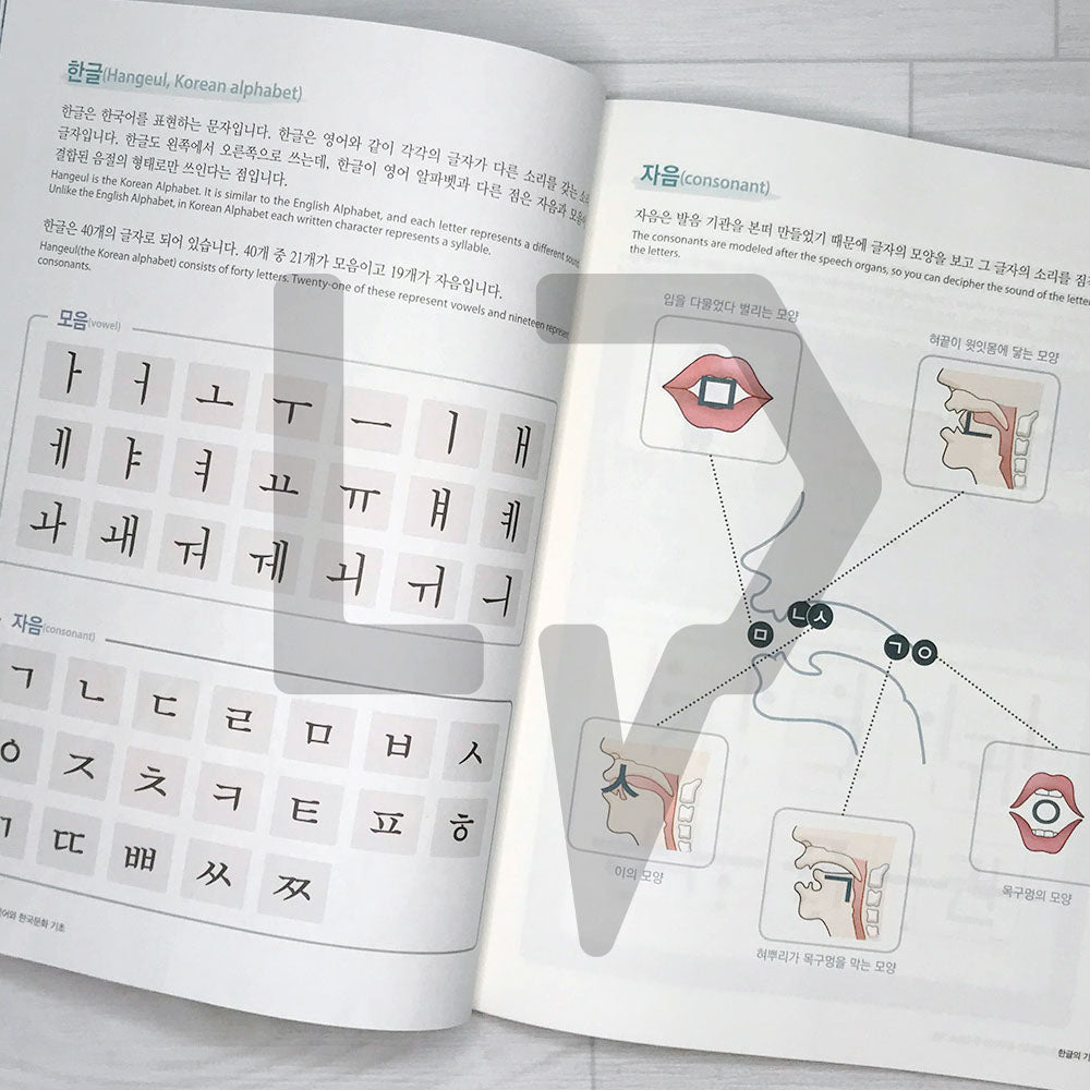 KIIP Korean Language and Culture Starter 한국어와 한국문화 기초
