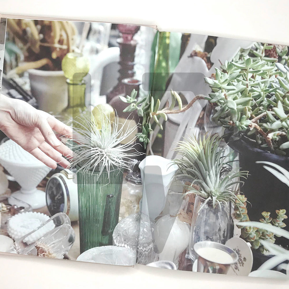 Plant Collectors (How to live with plants) 식물수집가 - Life Pattern Korea