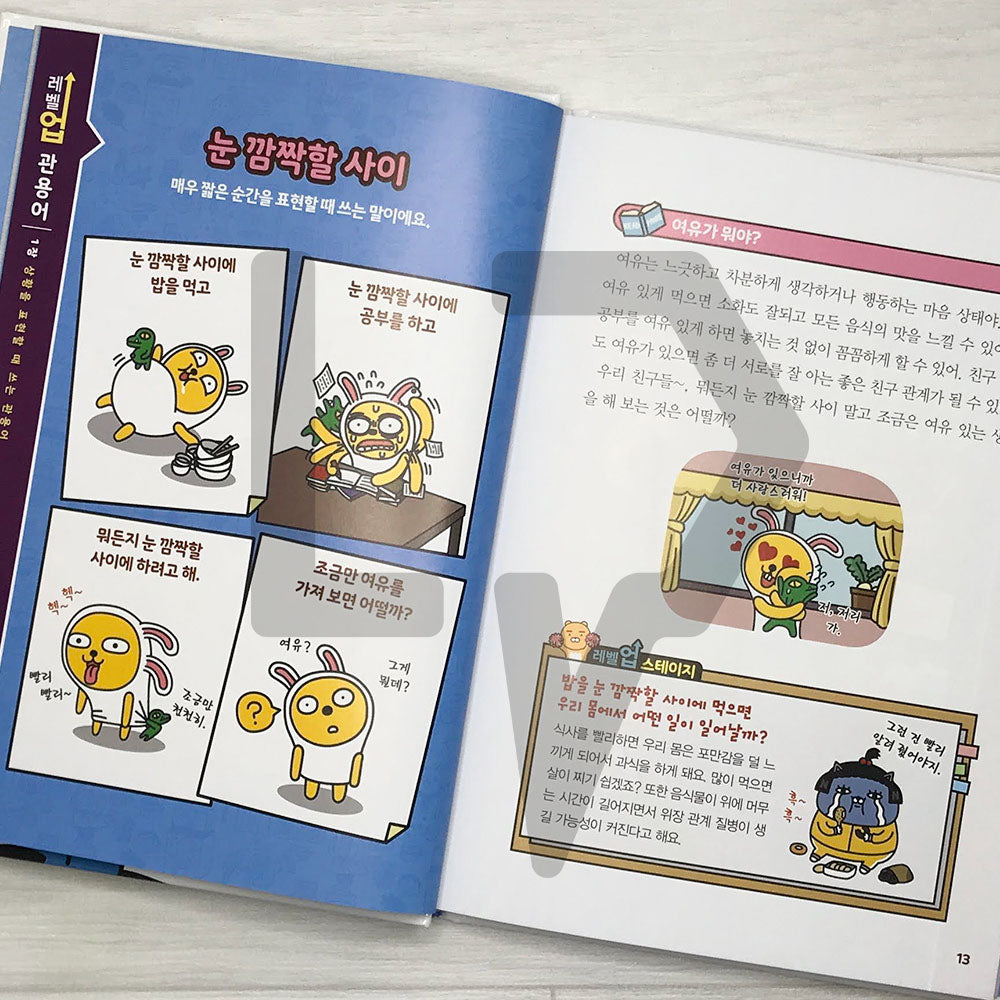 Level Up Kakao Friends: Korean Idioms 레벨업 카카오프렌즈 관용어