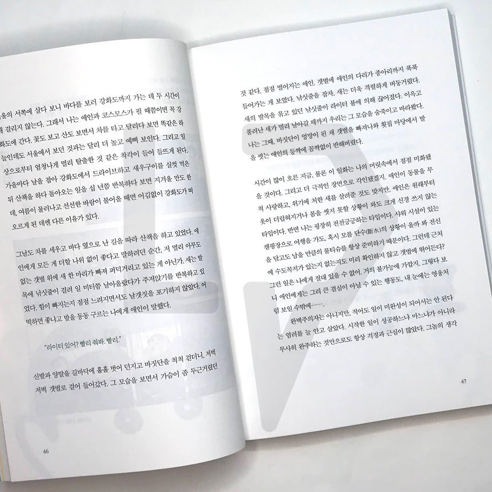 It is too late to be a grown adult 멀쩡한 어른 되긴 글렀군 - Life Pattern Korea