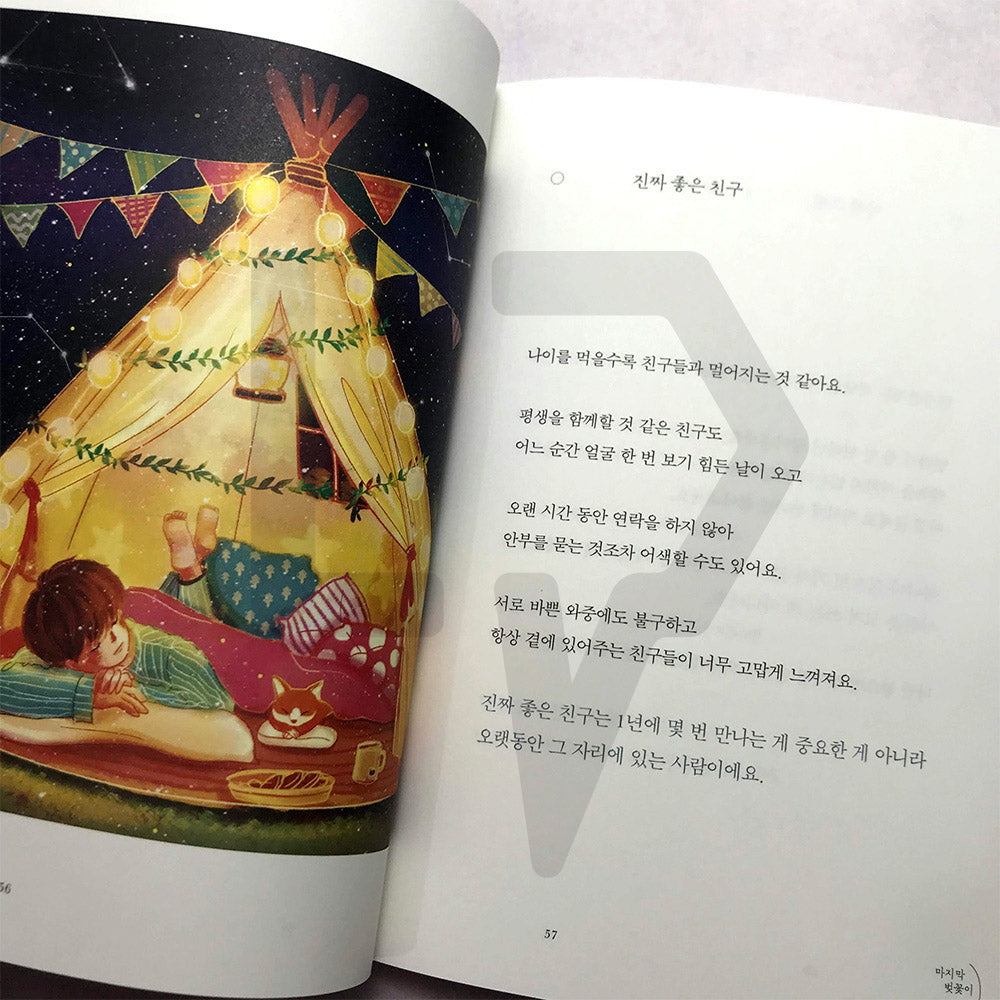 When the last cherry blossom falls 마지막 벚꽃이 질 때 - Life Pattern Korea