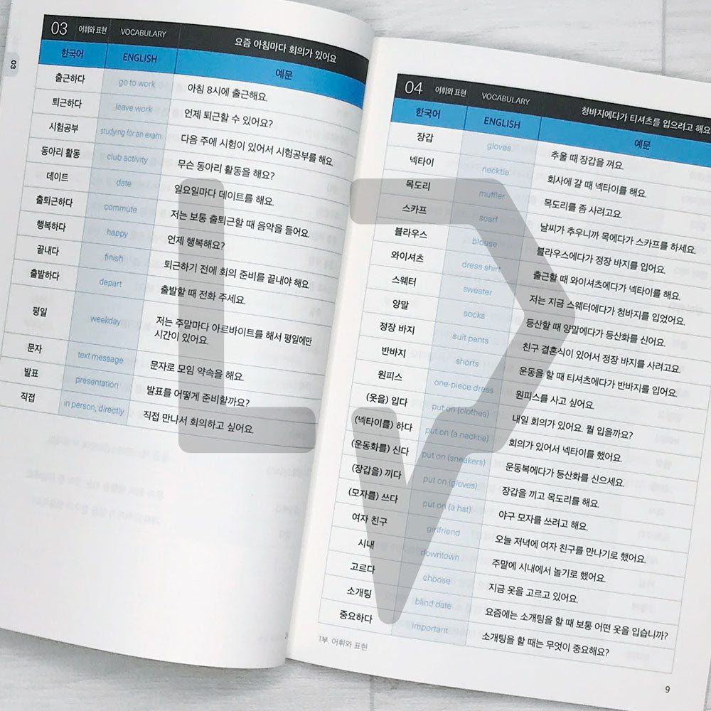 Sejong Korean Vocabulary & Grammar Book 세종한국어 어휘 표현과 문법 2A (2022 Edition)