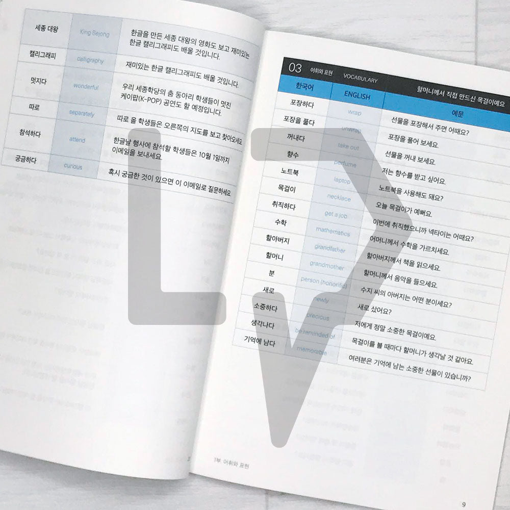 Sejong Korean Vocabulary & Grammar Book 세종한국어 어휘 표현과 문법 2B (2022 Editi ...