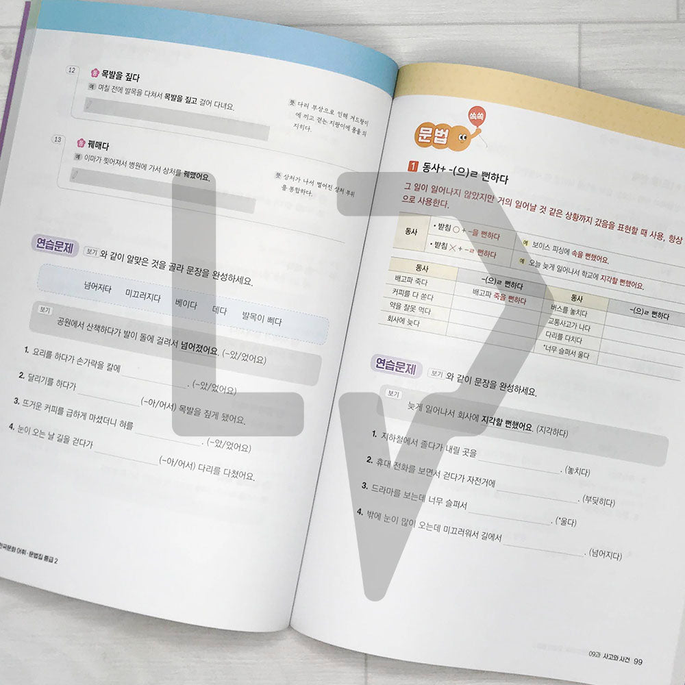 KIIP Korean Language and Culture Intermediate Level 2 Vocabulary & Grammar 한국어 한국문화 어휘 & 문법집 중급 2