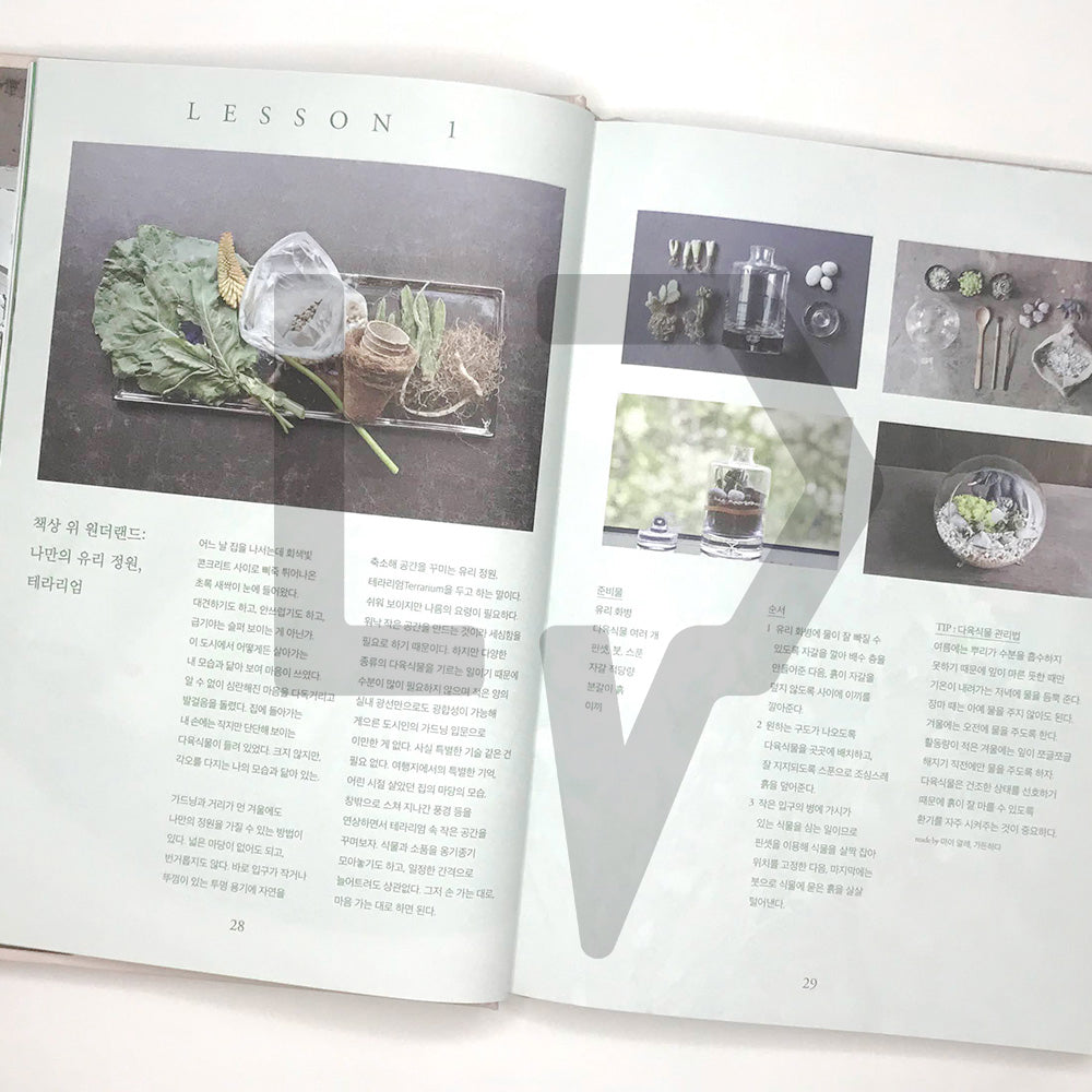 Plant Collectors (How to live with plants) 식물수집가 - Life Pattern Korea