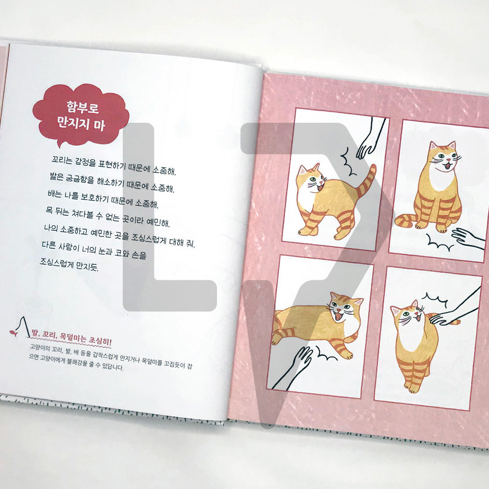 Cat's Mind Dictionary 고양이 마음 사전 - Life Pattern Korea