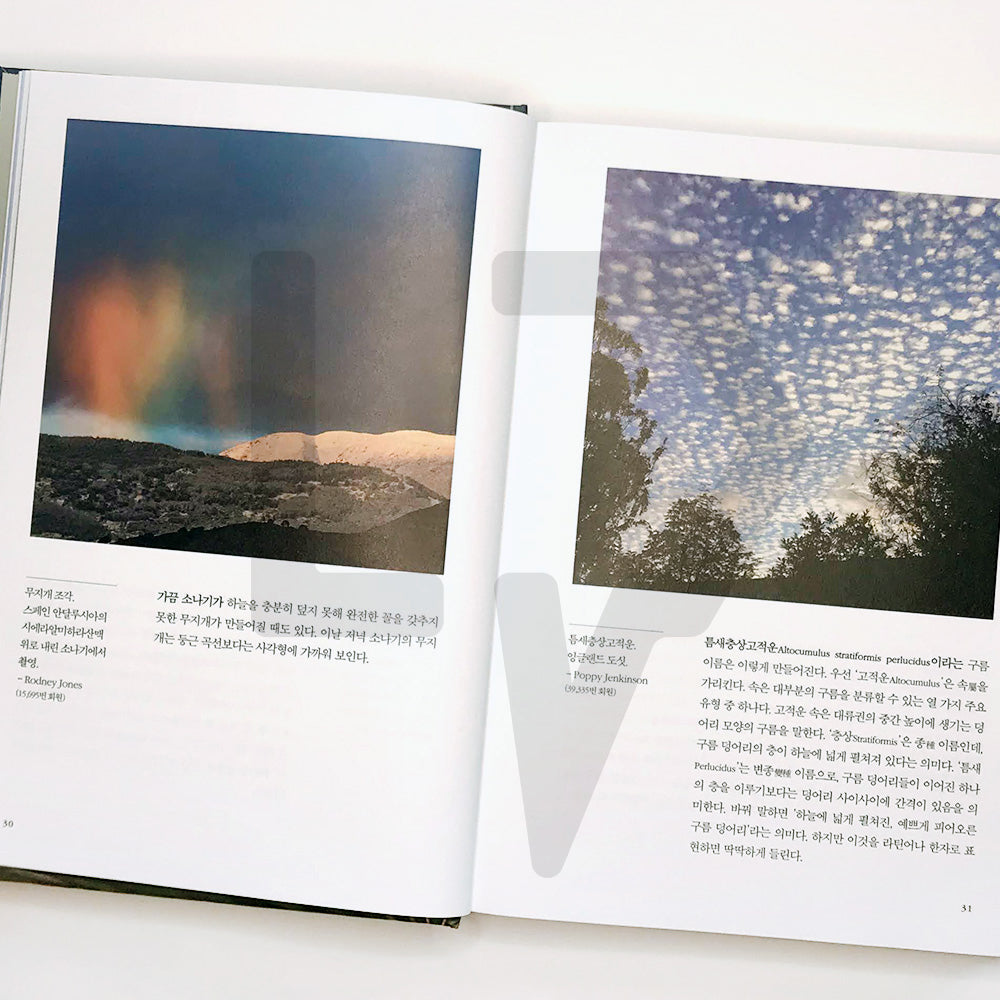A Cloud a Day 날마다 구름 한점 - Life Pattern Korea