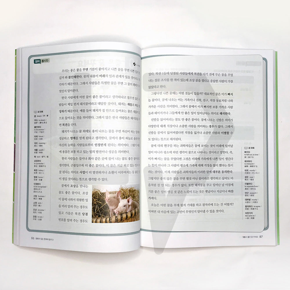 Reading Korean with Culture 문화가 있는 한국어 읽기 Vol. 3 - Life Pattern Korea