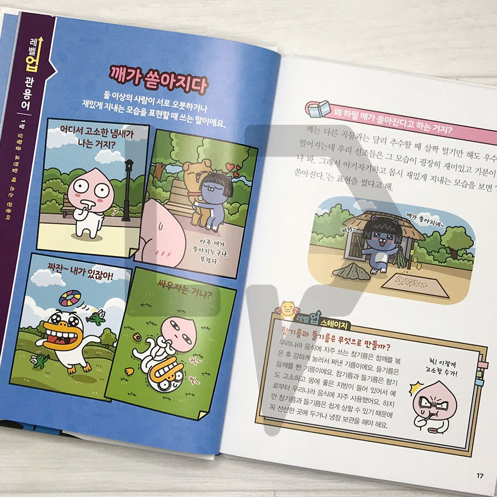 Level Up Kakao Friends: Korean Idioms 레벨업 카카오프렌즈 관용어