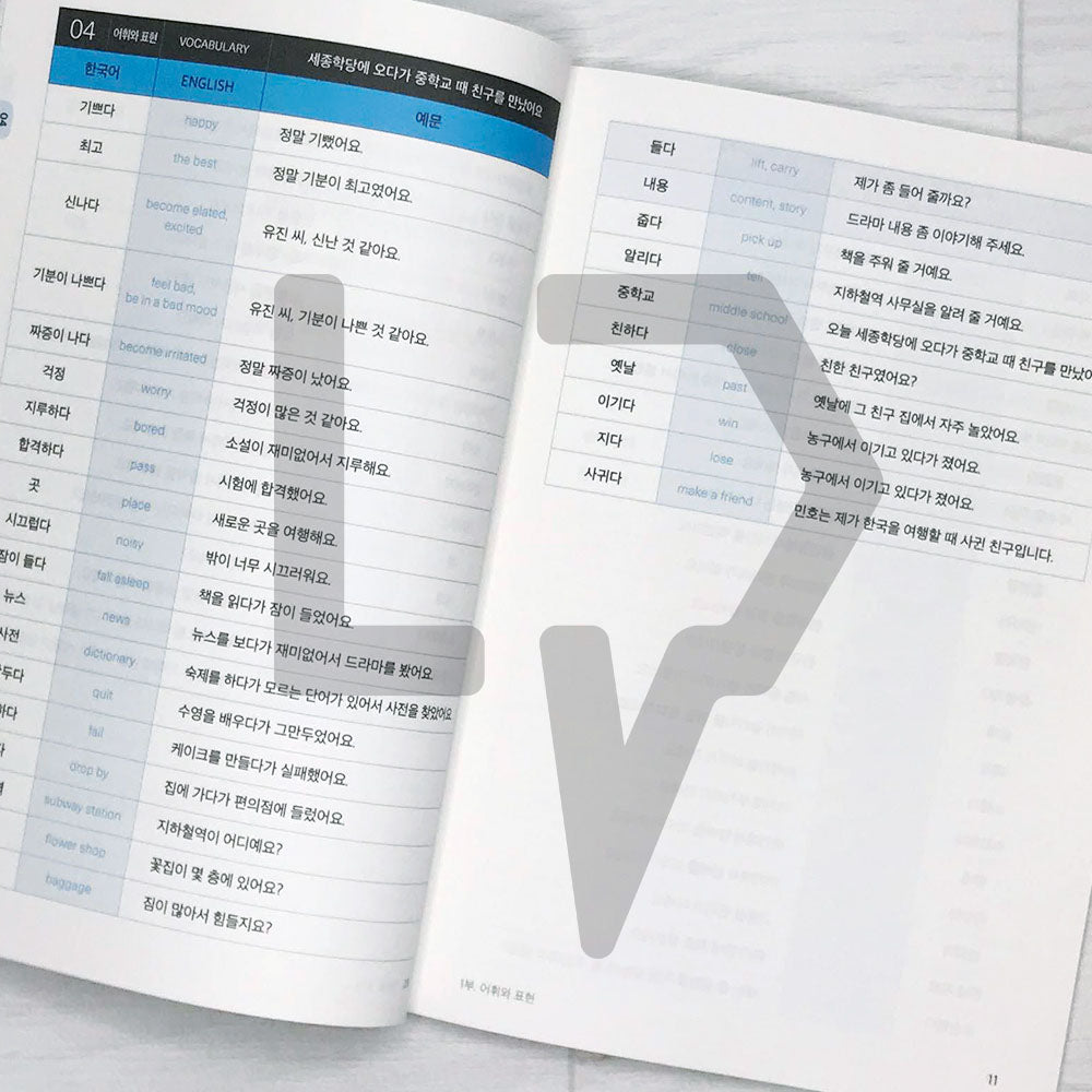 Sejong Korean Vocabulary & Grammar Book 세종한국어 어휘 표현과 문법 2B (2022 Edition)