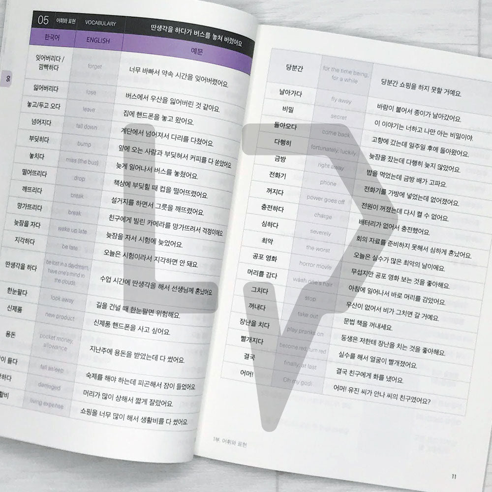 Sejong Korean Vocabulary & Grammar Book 세종한국어 어휘 표현과 문법 3B (2022 Edition)