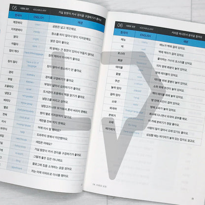 Sejong Korean Vocabulary & Grammar Book 세종한국어 어휘 표현과 문법 2A (2022 Edition)