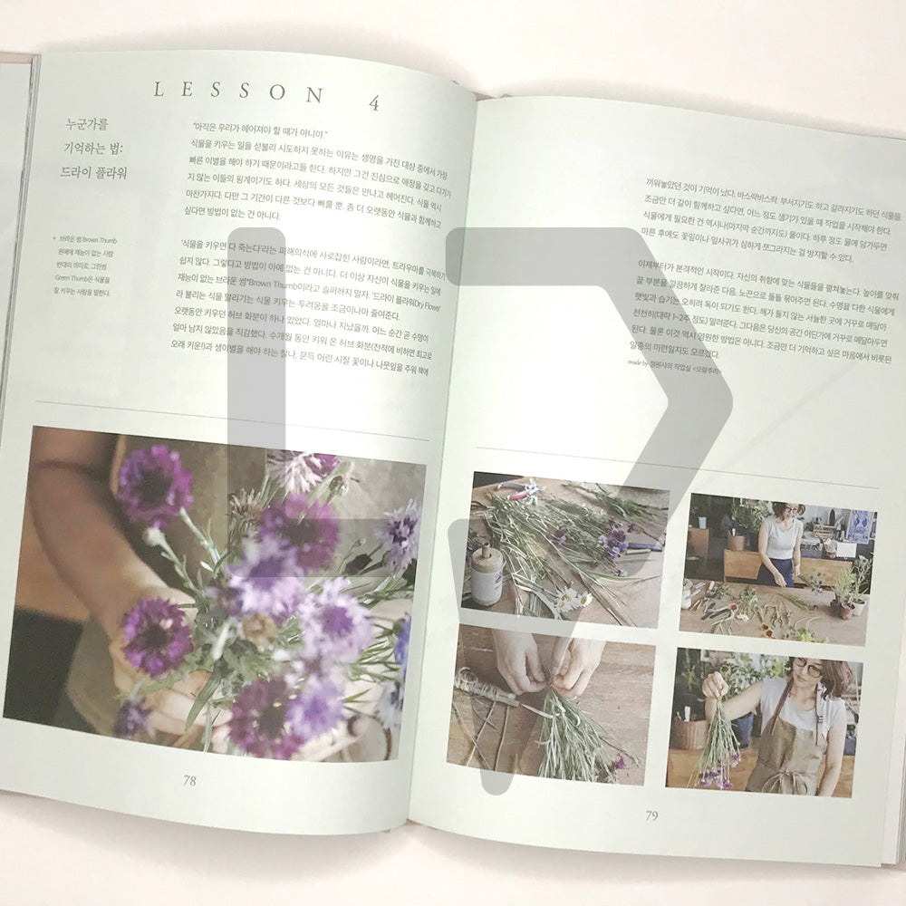 Plant Collectors (How to live with plants) 식물수집가 - Life Pattern Korea