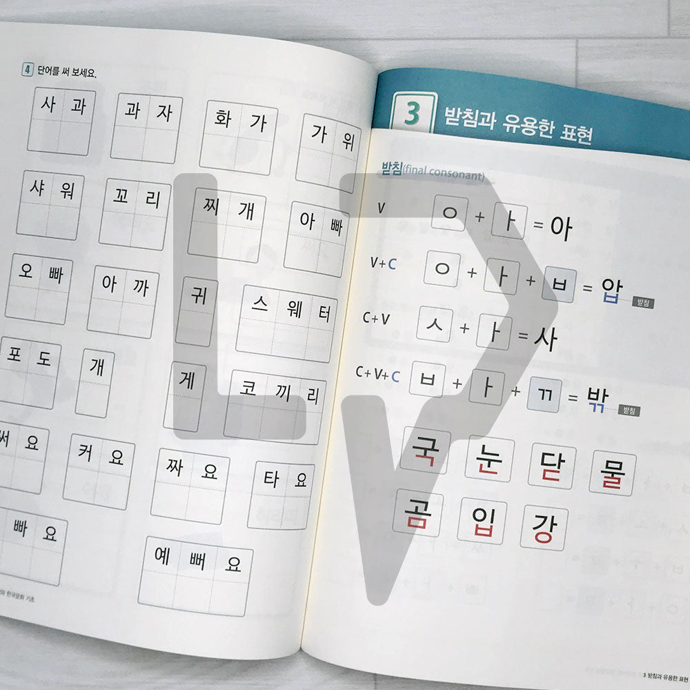 KIIP Korean Language and Culture Starter 한국어와 한국문화 기초