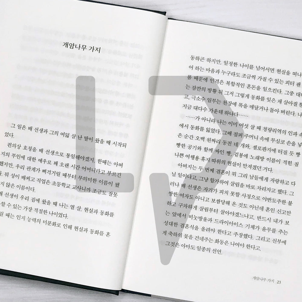 The Wizard Bakery 위저드 베이커리 (2022 Edition) - Life Pattern Korea
